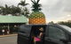 Private Transfer From Sunshine Coast Airport To Noosa 8 Seater + Luggage Trailer - thumb 2