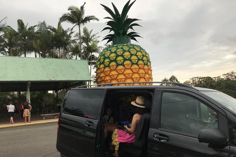 Private Transfer From Sunshine Coast Airport To Noosa 8 Seater + Luggage Trailer - Accommodation Perth 2