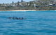 Noosa Thriller - 500hp Ocean Adventure Ride - thumb 5