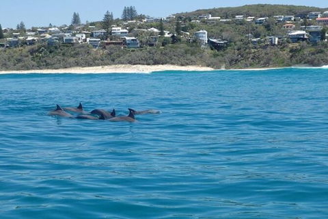 Noosa Thriller - 500hp Ocean Adventure Ride - Accommodation Perth 5