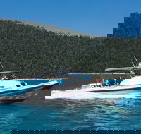 Private Standard Charter Experience in Whitsundays - Accommodation Perth