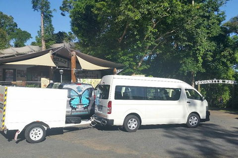 Airport Transfer To Or From Cairns Hotels For Up To 13 People (7am-10pm) - Accommodation Perth 3
