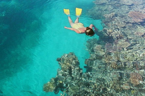 Great Barrier Reef Luxury Expedition Cruise Cabin Booking 7 Days 6 Night - Perth Resorts 8