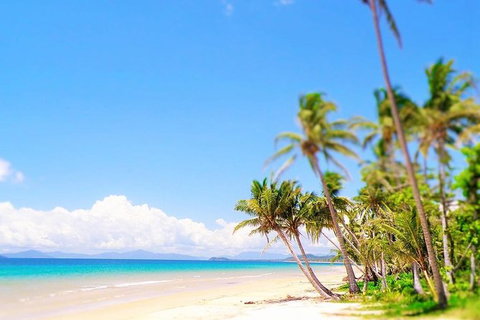 Airport Transfer - Cairns Airport To Mission Beach - Accommodation Perth 1