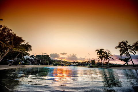 Reef, Wildlife & Rainforest - Reef & Beyond Guided Holidays - Accommodation Perth 6