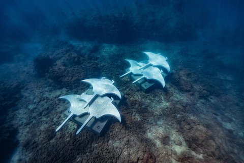 Premium Private Charter - Perth Resorts 8