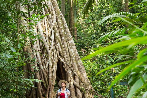 Rainforest To Reef Experience - Reef And Beyond Guided Holidays - Accommodation Perth 2