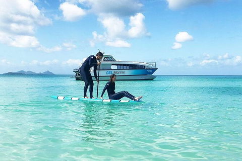 Rainforest To Reef Experience - Reef And Beyond Guided Holidays - Accommodation Perth 3