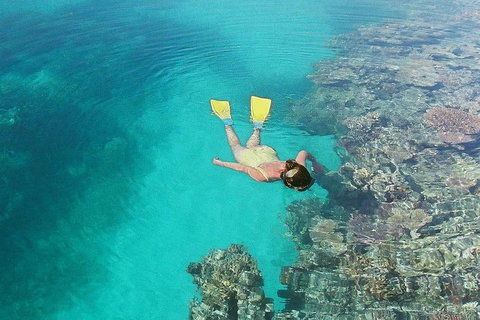 Great Barrier Reef Private Expedition Cruise (min 4 Day Max 8 Guests) - Perth Resorts 6