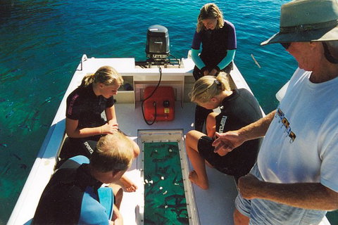 Great Barrier Reef Private Expedition Cruise (min 4 Day Max 8 Guests) - Perth Resorts 1