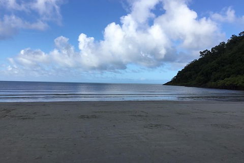 Daintree Luxury Limousine Tour - Full Day - Accommodation Perth 6