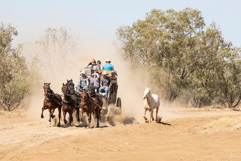 Cobb And Co Stagecoach Experience - Accommodation Perth 0