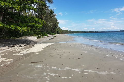 Private Transfers - Cairns Airport To Palm Cove - Accommodation Perth 1