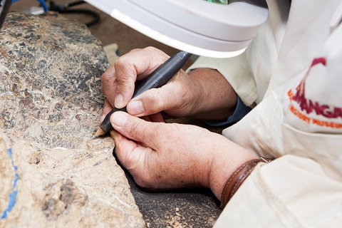 Australian Dinosaur Giants Tour - Perth Resorts 2