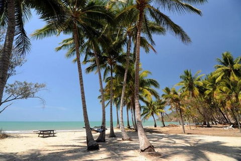 SHUTTLE - Thala Beach And Turtle Cove From Port Douglas (Return Transfer) - Accommodation Perth 2