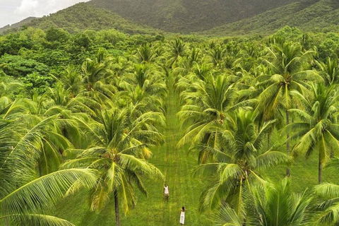 SHUTTLE - Thala Beach And Turtle Cove From Port Douglas (Return Transfer) - Accommodation Perth 1
