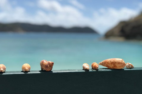 7-Day Private Sea Kayaking In Whitsundays - Perth Resorts 1