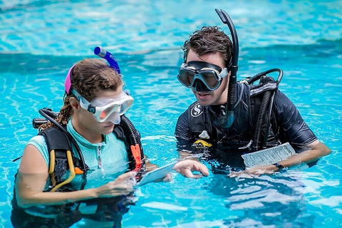 PADI Diving Courses On The Gold Coast - Accommodation Perth 0