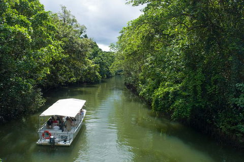 World Heritage Highlights: Reef/Daintree/Cape Tribulation - Accommodation Perth 1