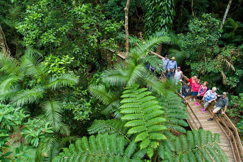 World Heritage Highlights: Reef/Daintree/Cape Tribulation - Accommodation Perth 3