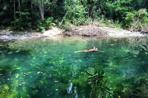 World Heritage Highlights: Reef/Daintree/Cape Tribulation - Accommodation Perth 4