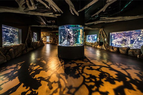 Cairns Aquarium By Twilight With 3 Course Dinner - Accommodation Perth 7