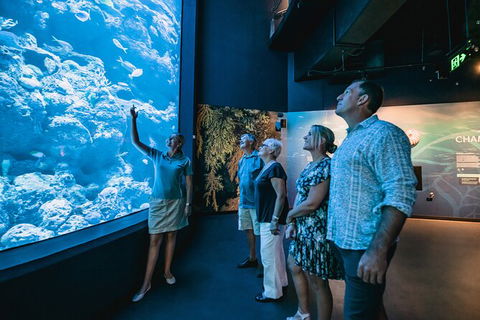 Cairns Aquarium By Twilight With 3 Course Dinner - Accommodation Perth 0