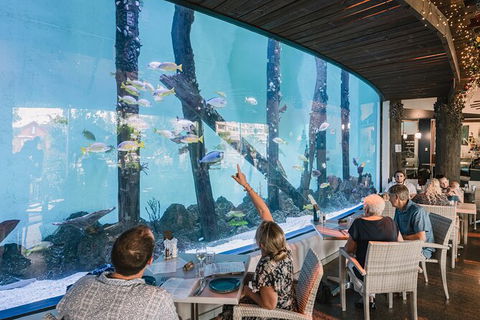 Cairns Aquarium By Twilight With 3 Course Dinner - Accommodation Perth 1