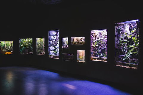Cairns Aquarium By Twilight With 3 Course Dinner - Accommodation Perth 3