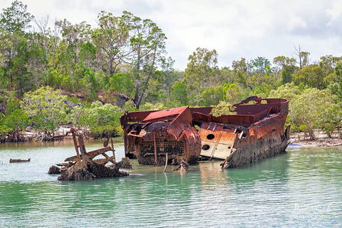 Sandy Straits Scenic & Wildlife Cruise - Accommodation Perth 9