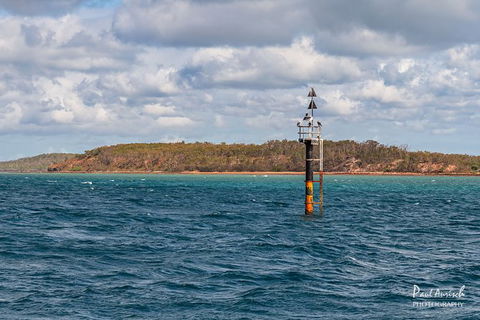 Sandy Straits Scenic & Wildlife Cruise - Accommodation Perth 6