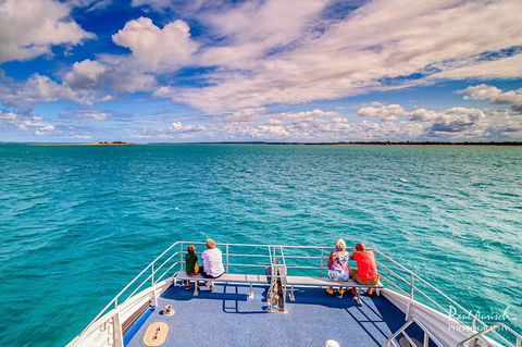 Sandy Straits Scenic & Wildlife Cruise - Accommodation Perth 7