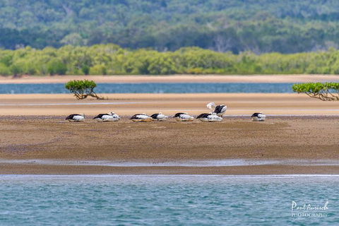 Sandy Straits Scenic & Wildlife Cruise - Accommodation Perth 3