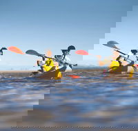 Kangaroo Island Self-Guided Kayaking on the Harriet River - Accommodation Perth