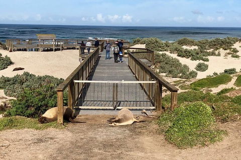 Kangaroo Island 4wd - Best Of KI - Accommodation Perth 6