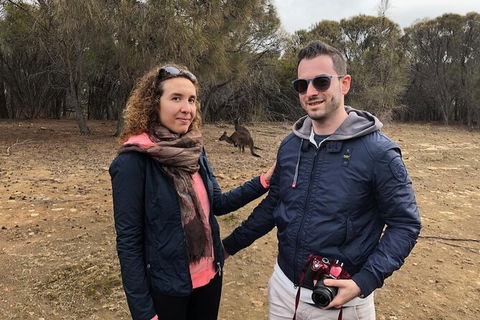 Kangaroo Island 4wd - Best Of KI - Accommodation Perth 2