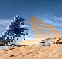 Kangaroo Island Luxury Small Group 'Flinders Chase Focus' Full Day Tour - Accommodation Perth