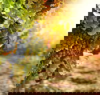 Kangaroo Island Half Day Food and Wine Trail Tour - Accommodation Perth