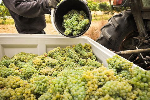 Adelaide Hills Wineries & Hahndorf - Perth Resorts 0