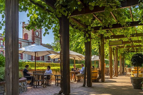 Yalumba Nursery & Grenache Discovery Tour + Platter Lunch - Accommodation Perth 4