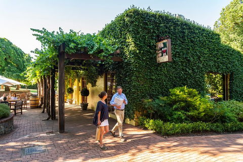 Yalumba Nursery & Grenache Discovery Tour + Platter Lunch - Accommodation Perth 3