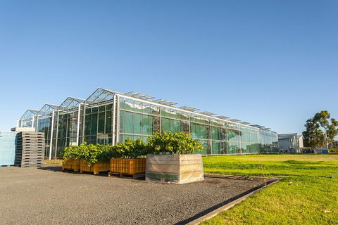 Yalumba Nursery & Grenache Discovery Tour + Platter Lunch - Accommodation Perth 5