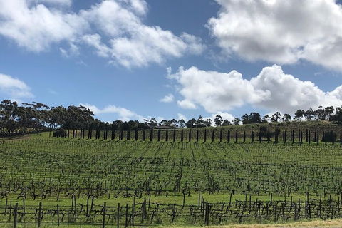 Intimate Wine Experience - Adelaide Hills - Accommodation Perth 10