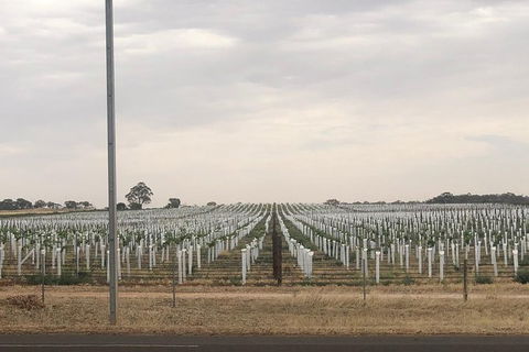 Intimate Wine Experience - Adelaide Hills - Accommodation Perth 7
