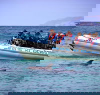 Kangaroo Island 75-Minute Ocean Safari - Accommodation Perth