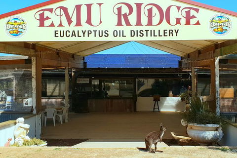 Full-Day Kangaroo Island Safari From Penneshaw - Accommodation Perth 3