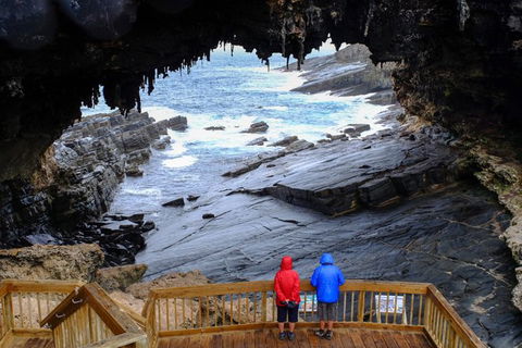 Full-Day Kangaroo Island Safari From Penneshaw - Accommodation Perth 1