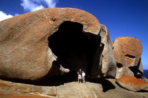 Full-Day Kangaroo Island Safari From Penneshaw - Accommodation Perth 0