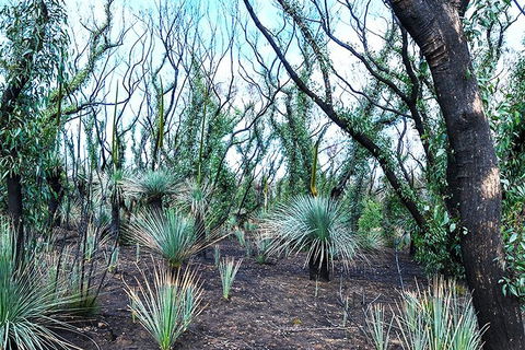 NEW TOUR - Kangaroo Island Road To Recovery Tour (1 Day/1 Night) - Perth Resorts 4