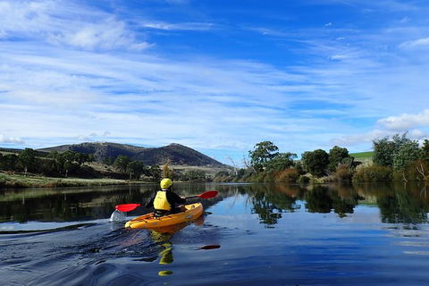 Paddle With The Platypus Twilight Kayak Adventure - Accommodation Perth 5